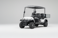 XF4 Cargo - White Body & Black Seats