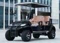 XF4 Cargo - Black Body & Brown Seats